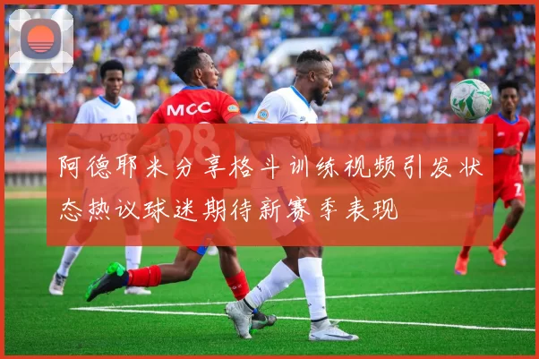 阿德耶米分享格斗训练视频引发状态热议球迷期待新赛季表现